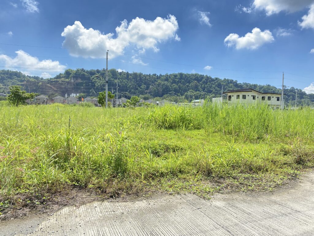 Residential Lots for Sale Davao City Narra Park Residences