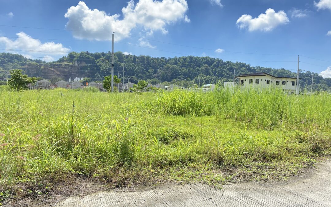 Residential Lots at Narra Park Residences, Davao