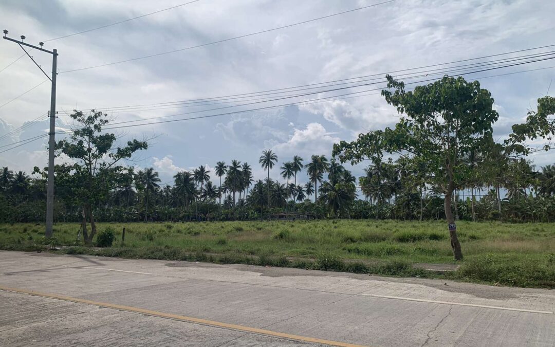 Industrial Lot at San Isidro, Bunawan