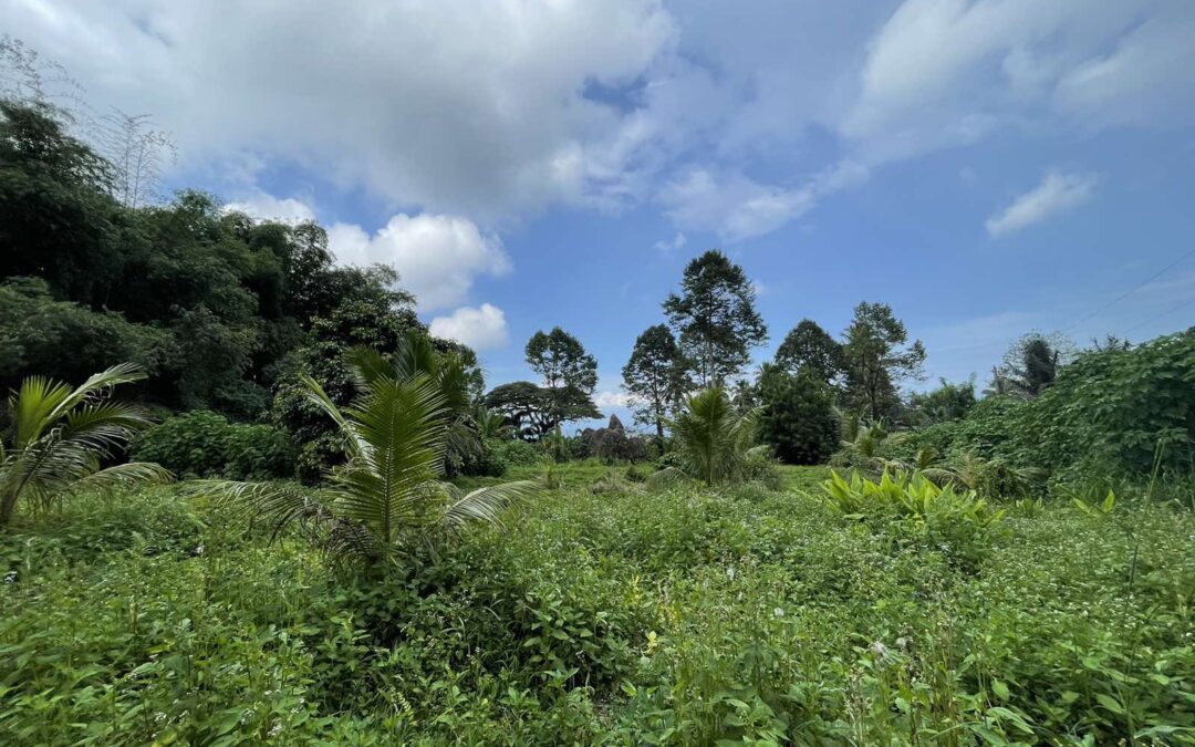 Agricultural Lot at Tagurano, Eden