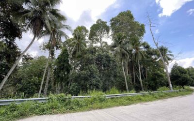 Agricultural Lot at Gatungan, Davao