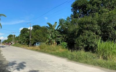 Agricultural Lot at Sto. Tomas, Davao del Norte