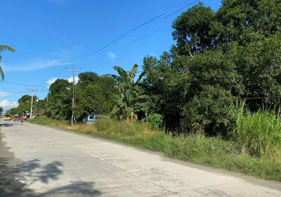 Agricultural Lot at Sto. Tomas, Davao del Norte