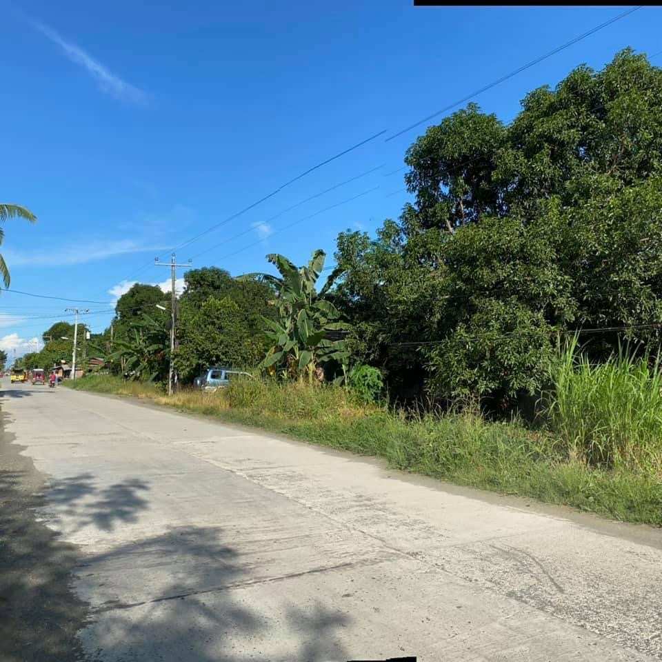 Commercial Lot For Sale Davao City